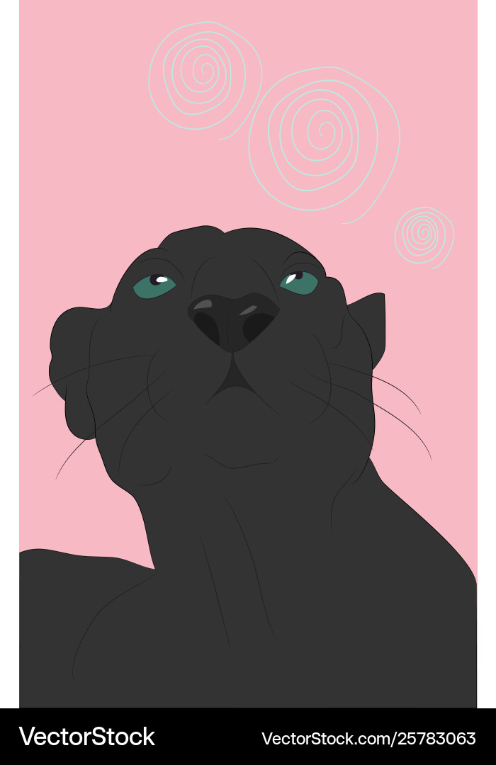 Panther portrait on bright Panther portrait on bright vector image