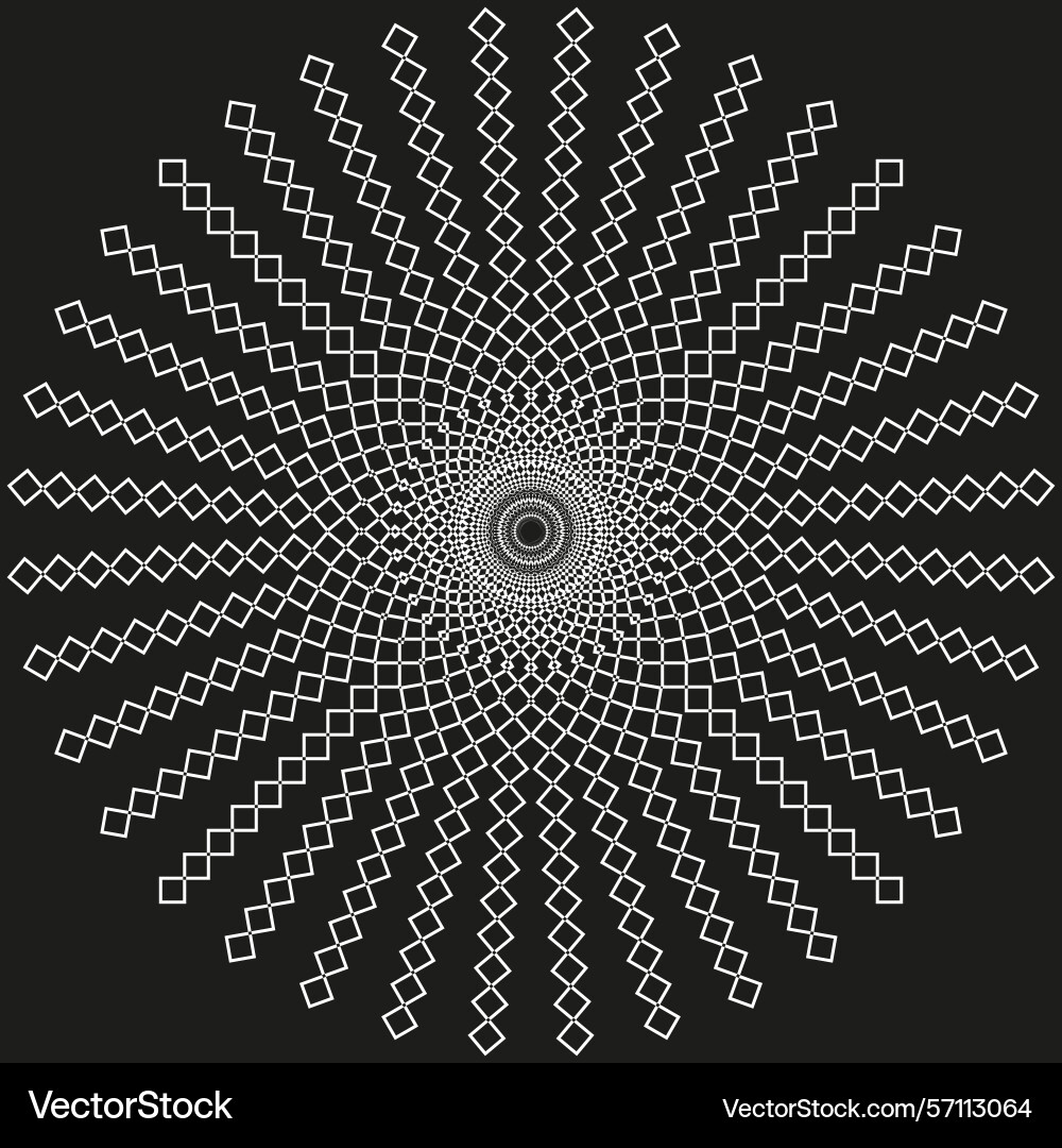 Circular flower shape petal symmetry pattern Vector Image