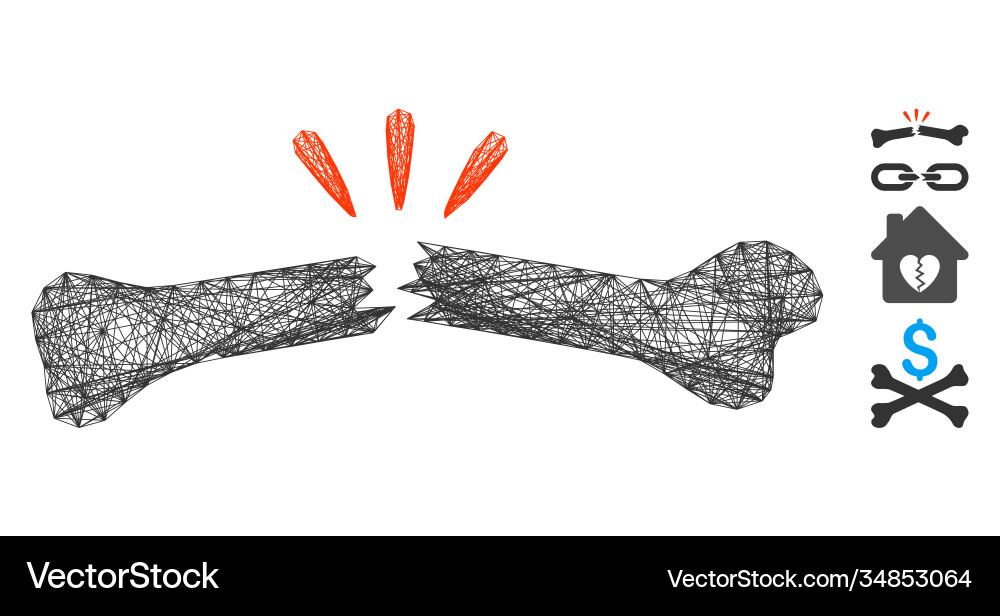 Net broken bone mesh Net broken bone mesh vector image