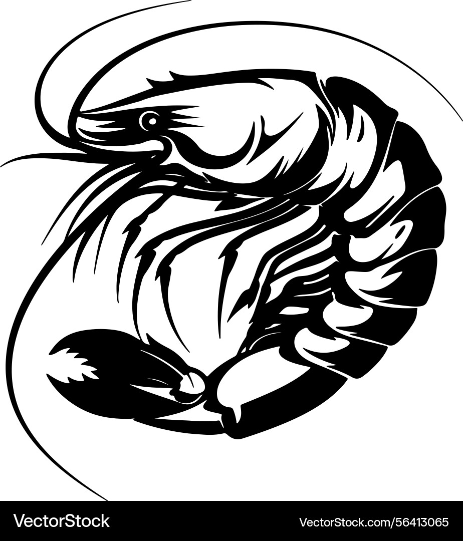 Hand drawn shrimp Hand drawn shrimp Vector Image