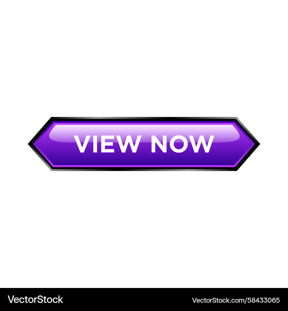 Website Button Template - View Now Vector Image