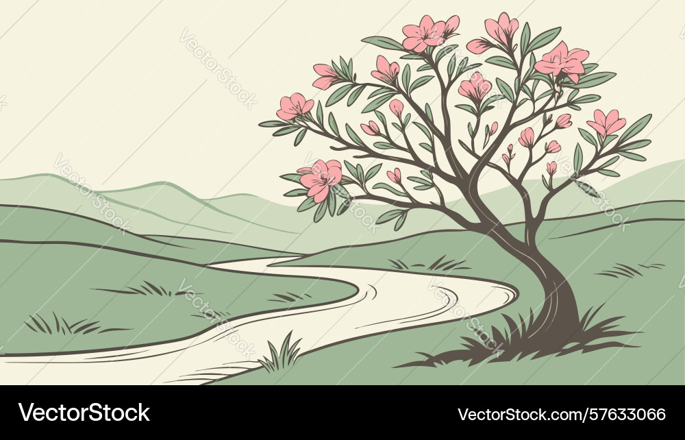 Blooming tree on winding path a serene spring Vector Image