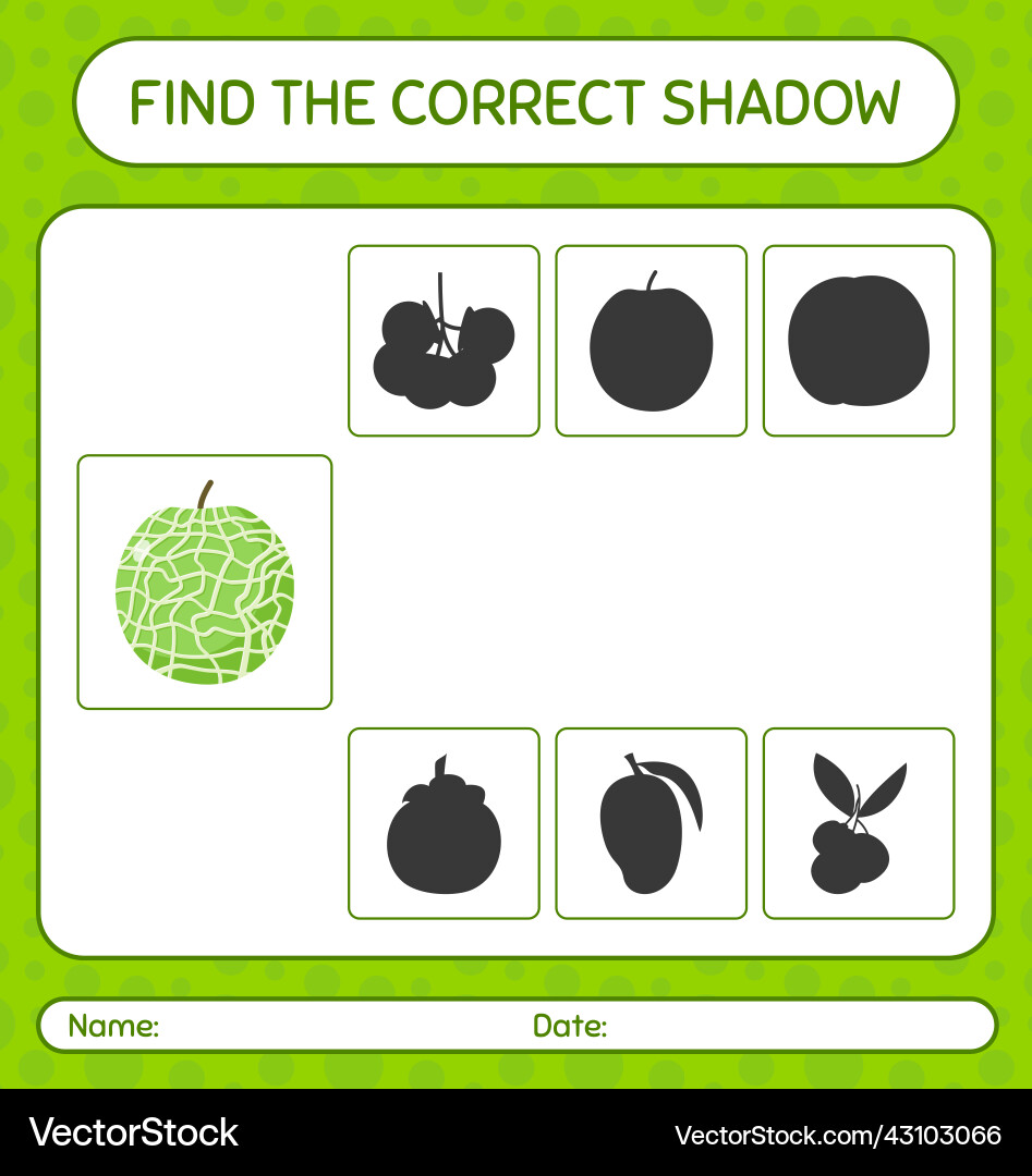 Find the correct shadows game with melon Find the correct shadows game with melon vector image
