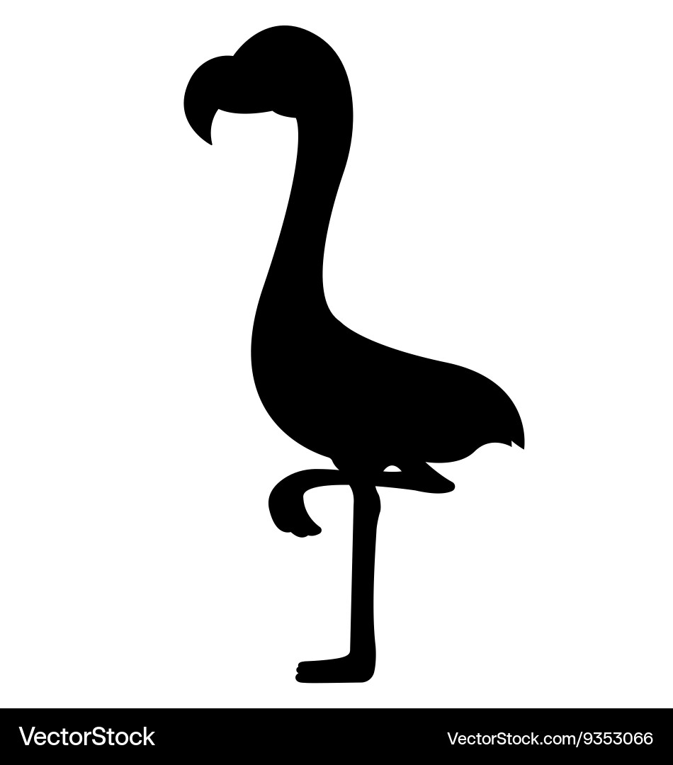 Flamingo Silhouettes Vector Image