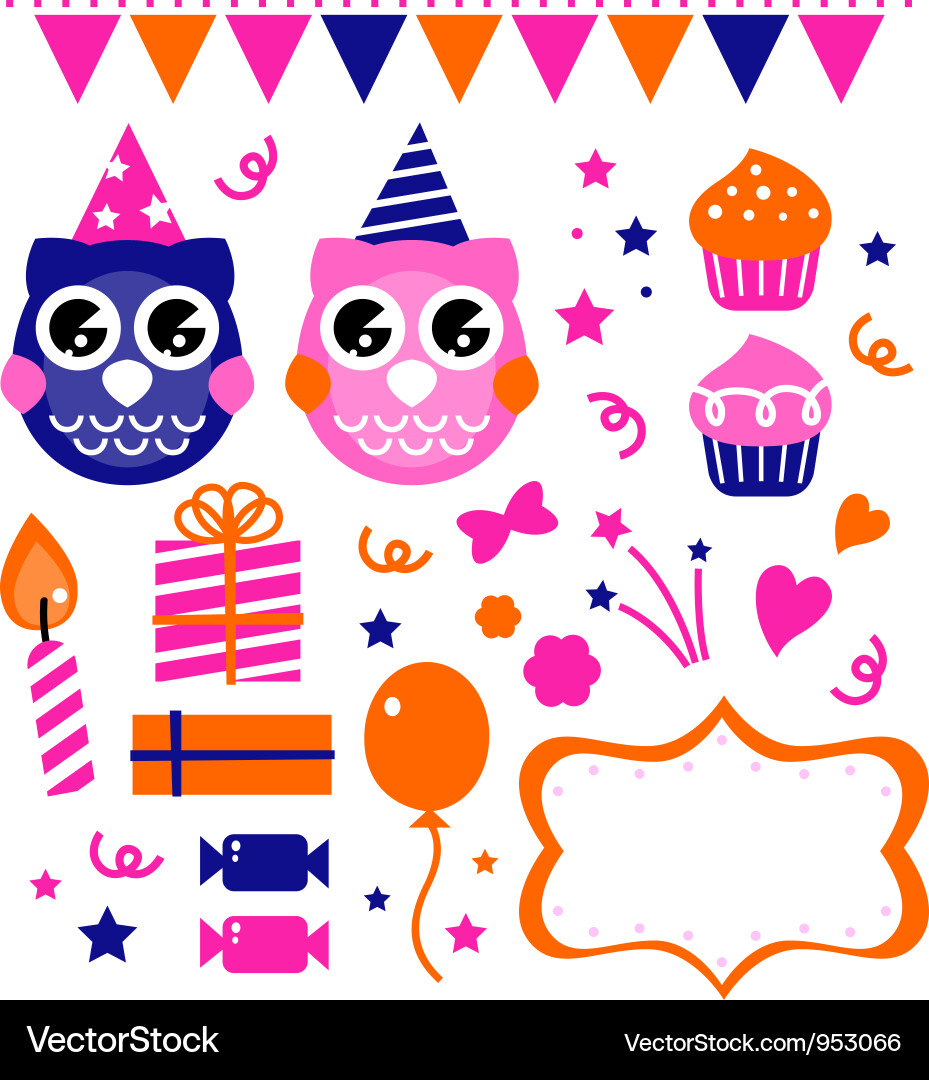 Retro Owl Birthday Party Decorations Vector Image