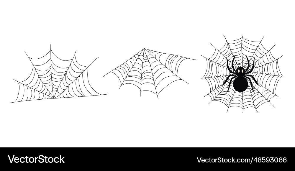 Spider on web set of different spiderweb designs Vector Image