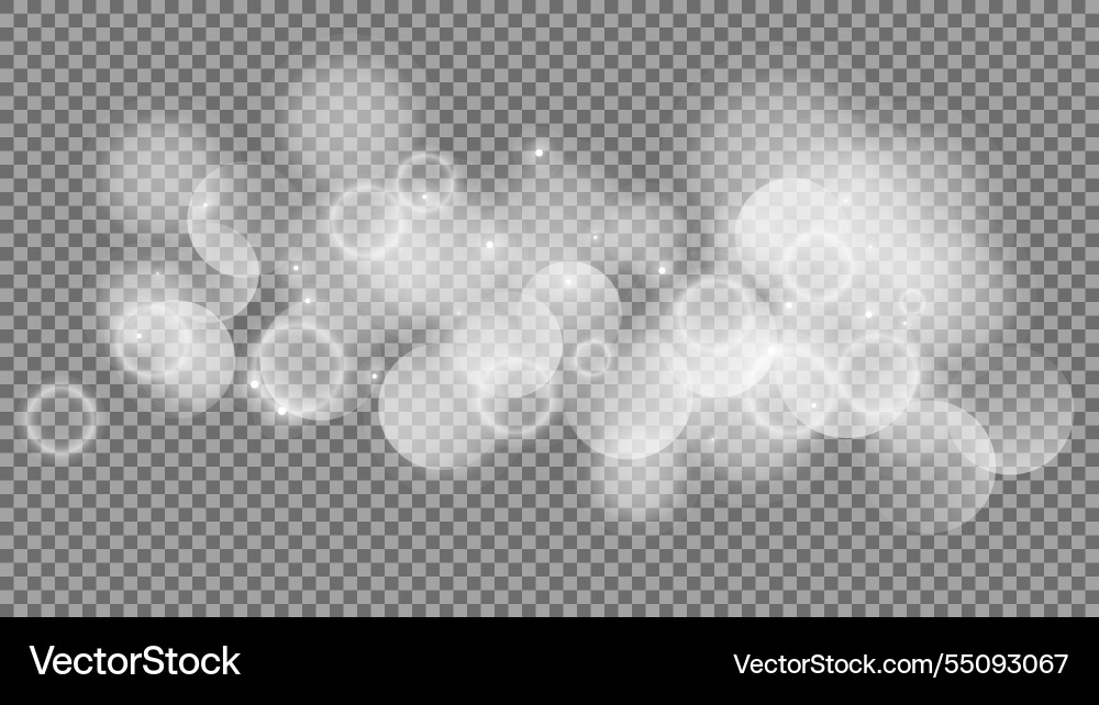 Bokeh circles on transparent background Bokeh circles on transparent background vector image