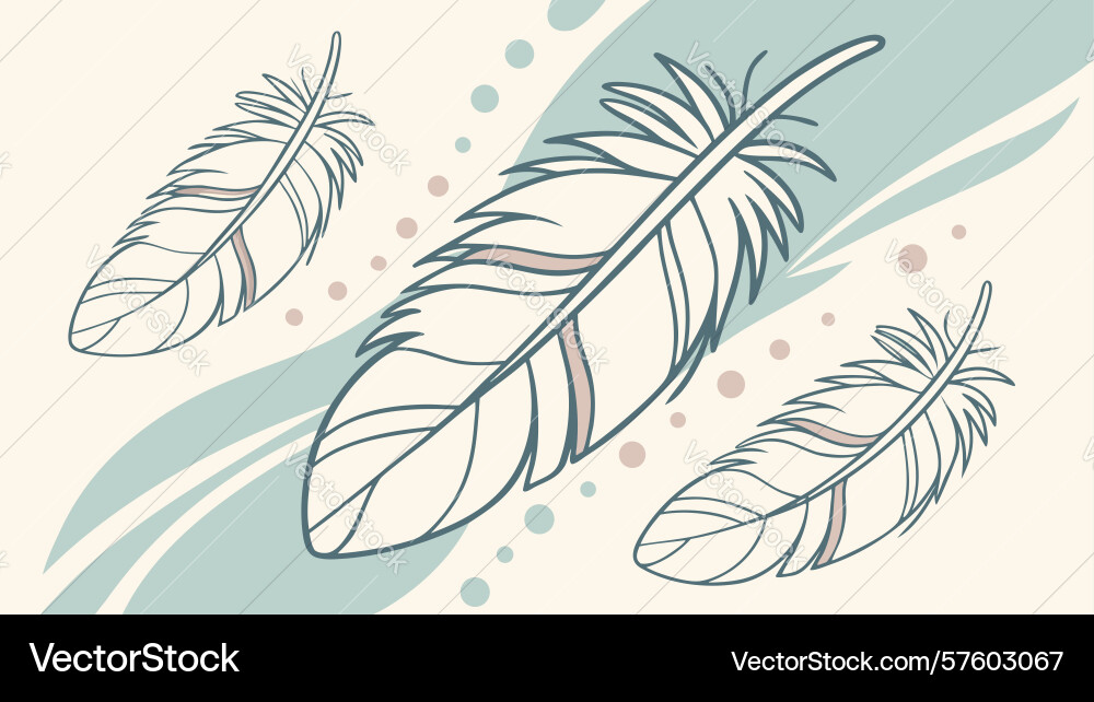 Graceful feather set with subtle textures design vector image