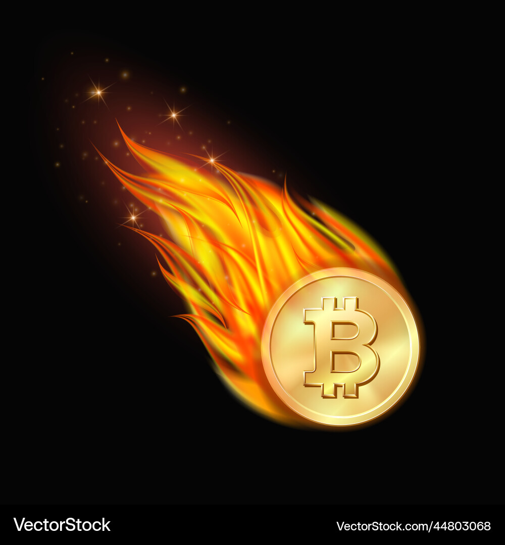 Falling bitcoin sign on fire symbol of burst – Royalty-Free Vector |  VectorStock