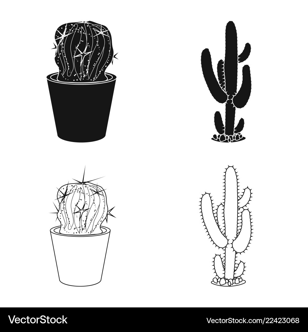 Isolated object of cactus and pot symbol set Vector Image