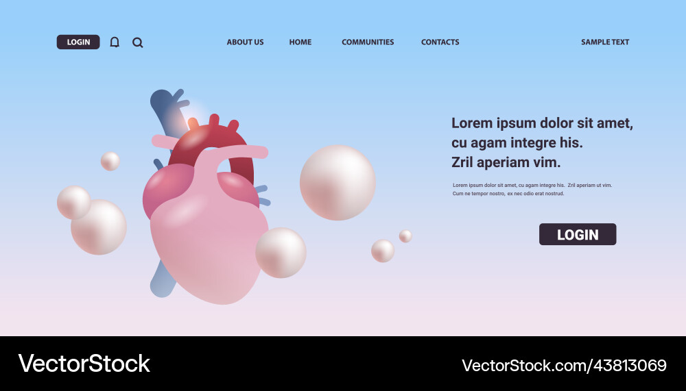 Anatomisches Herz-Ikone menschliche Körper inneres Organ Anatomisches Herz-Ikone menschliche Körper inneres Organ vektorbild