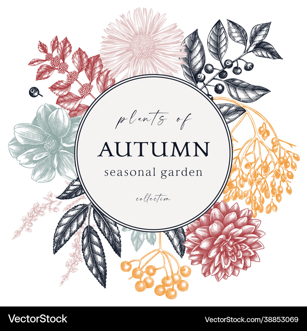 Autumn Wreath Botanical Sketch vector image