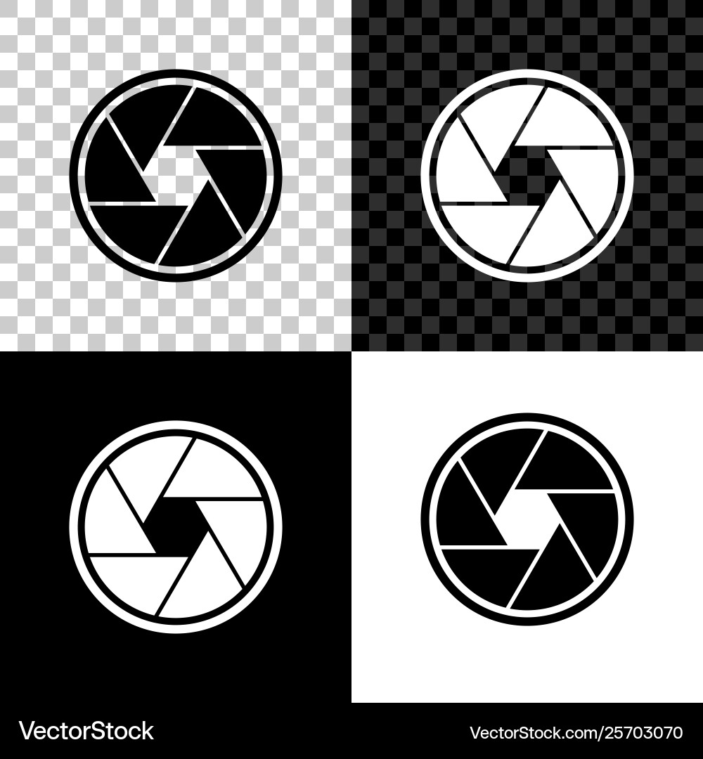 Camera Shutter Icon vector image