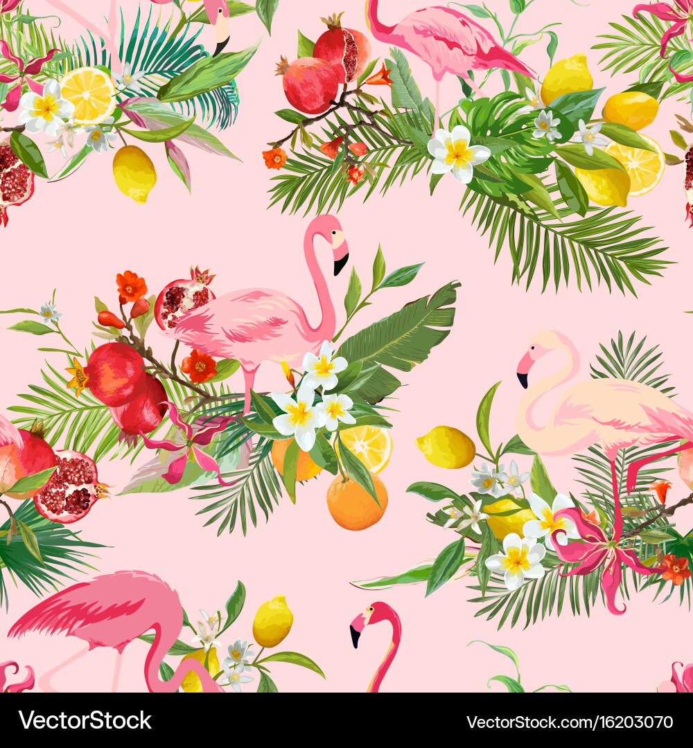 Tropical Birds & Flowers Background Vector Image