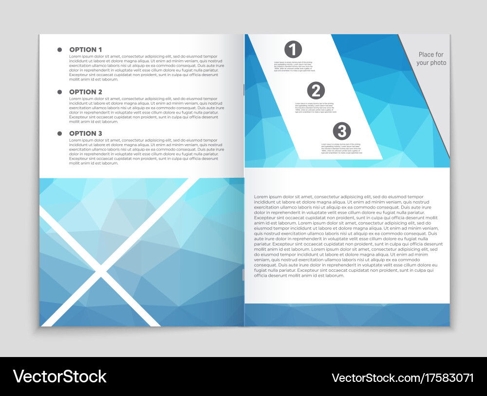 Abstract layout background set for art Vector Image