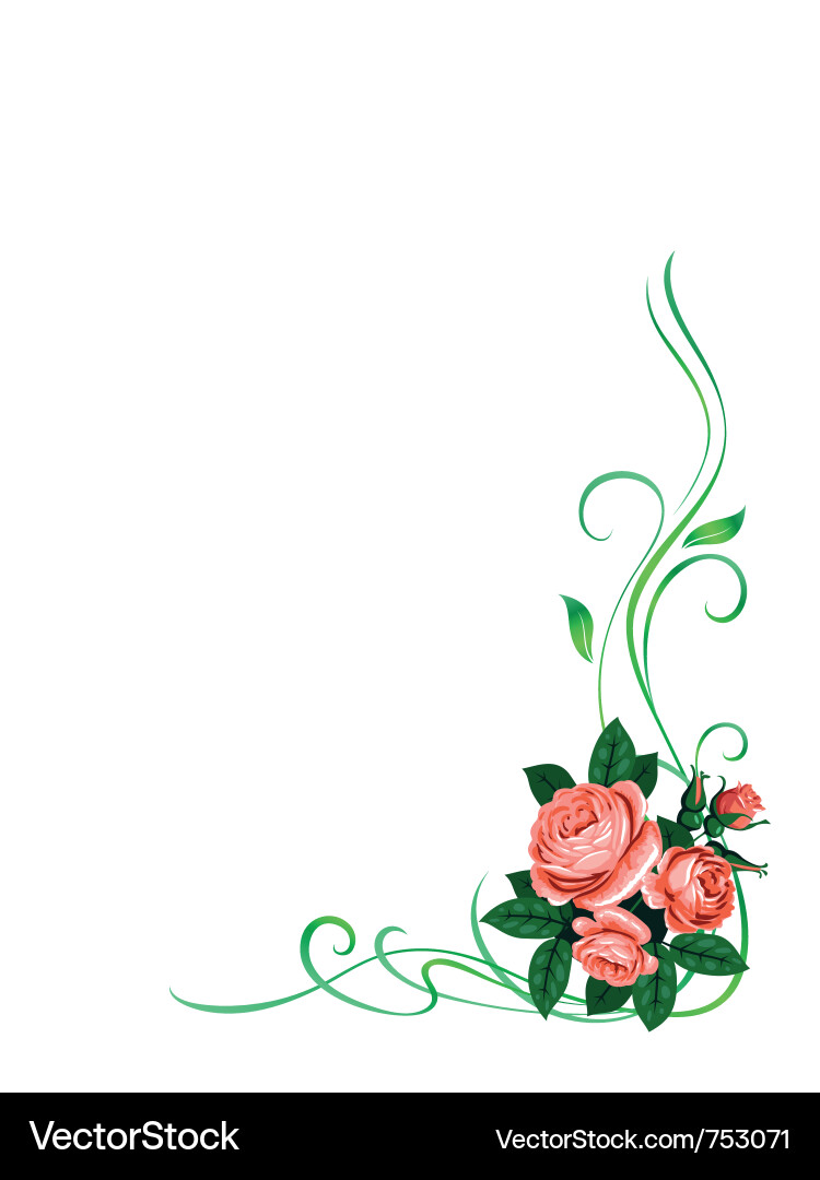Roses frame pattern background vector image