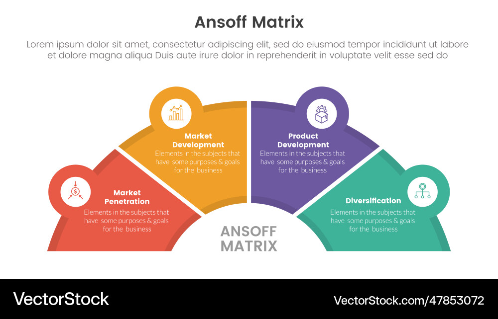 Ansoff matrix framework growth initiatives vector image