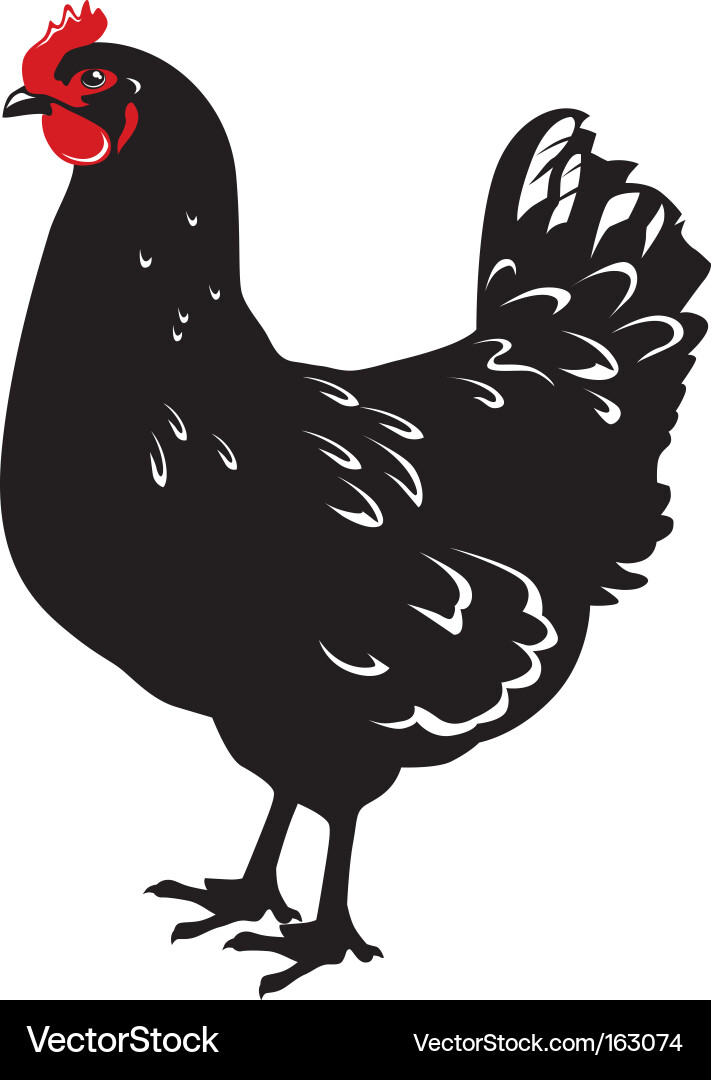 Chicken Silhouette Vector Image