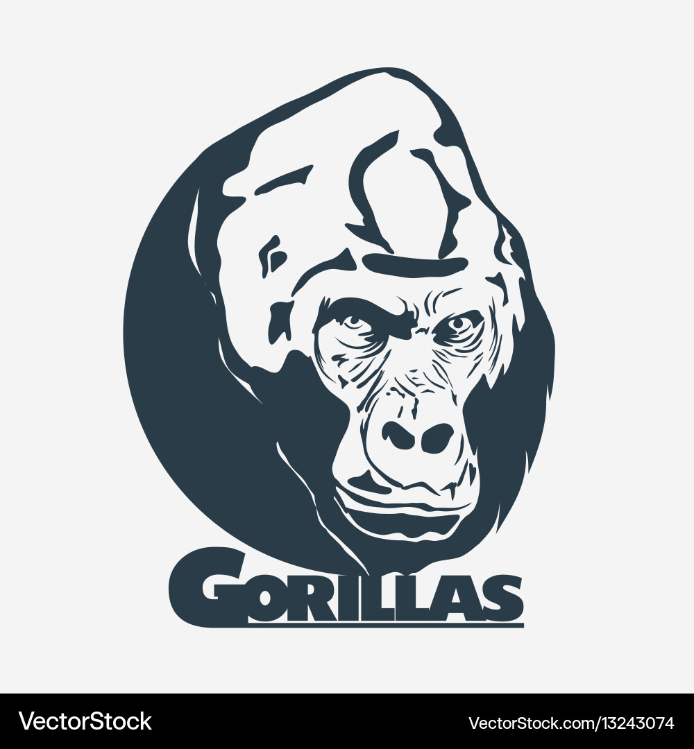 Gorilla Head Logo Vector Image
