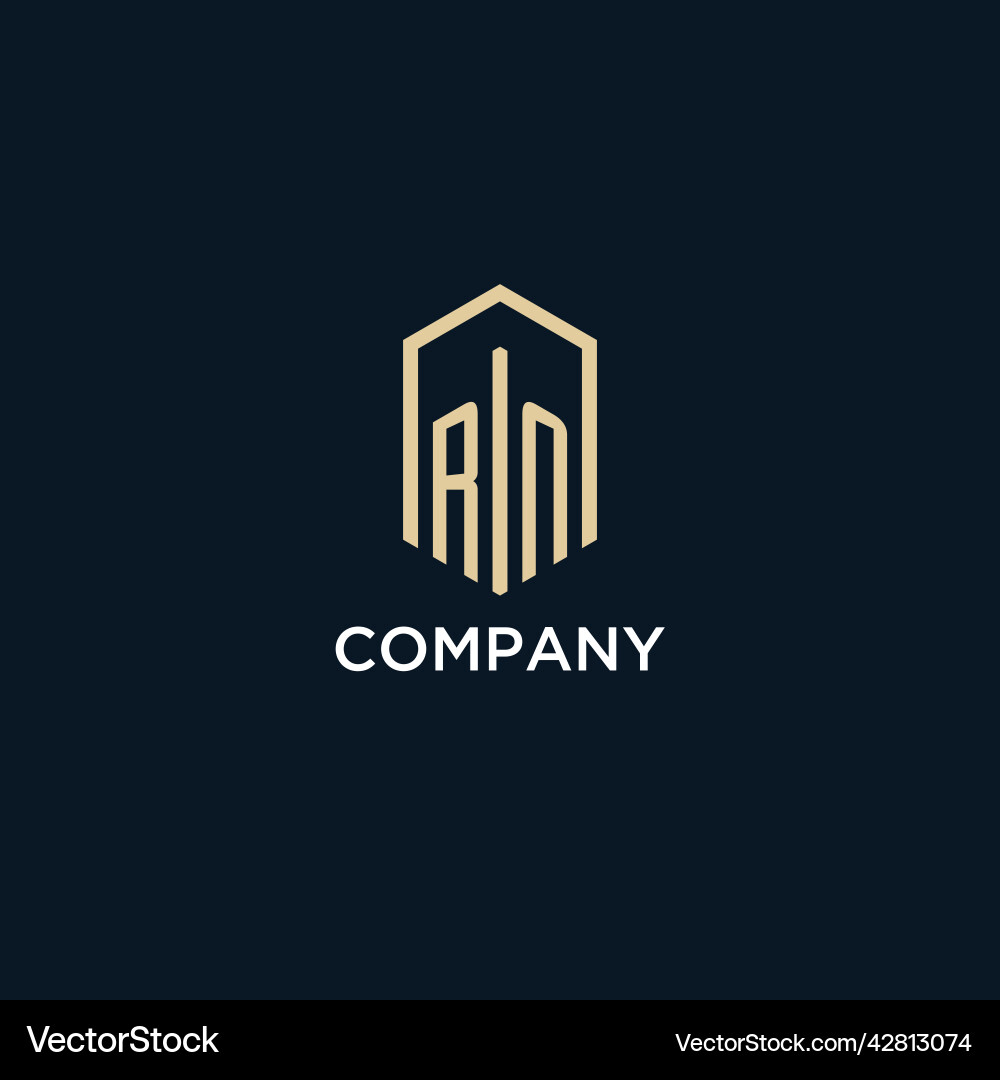 Rn initial monogram logo with hexagonal shape Rn initial monogram logo with hexagonal shape vector image