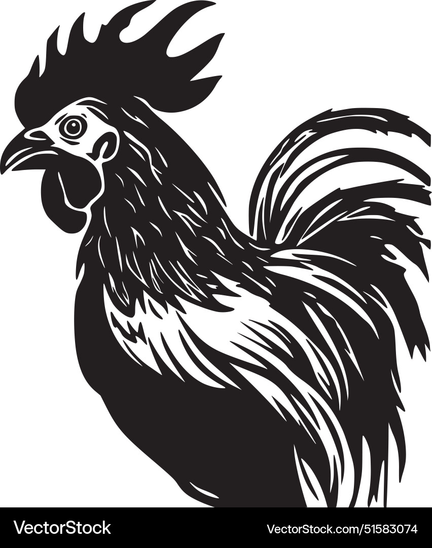 Rooster - hochwertiges Logo ideal für T-Shirt Rooster - hochwertiges Logo ideal für T-Shirt vektorbild