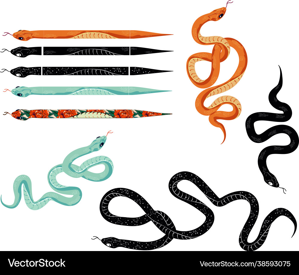A set for creating an object brush in graphics A set for creating an object brush in graphics vector image