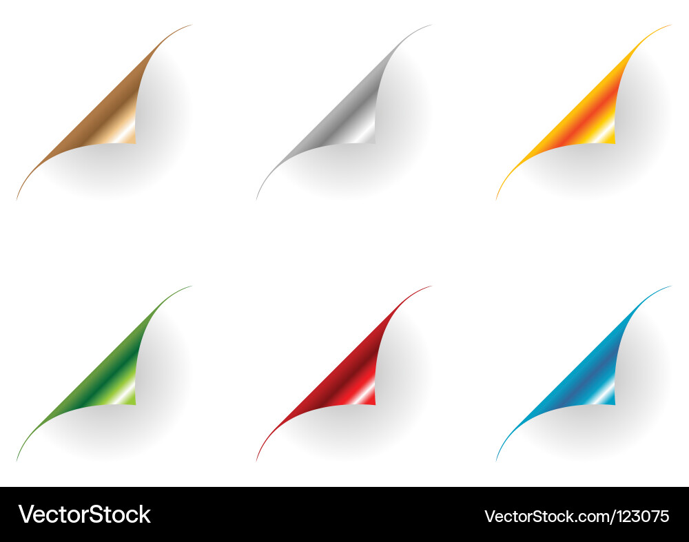 Page curls vector image