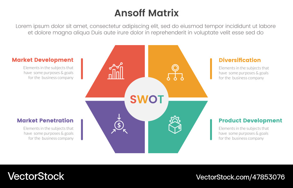 Ansoff matrix framework growth initiatives Ansoff matrix framework growth initiatives vector image