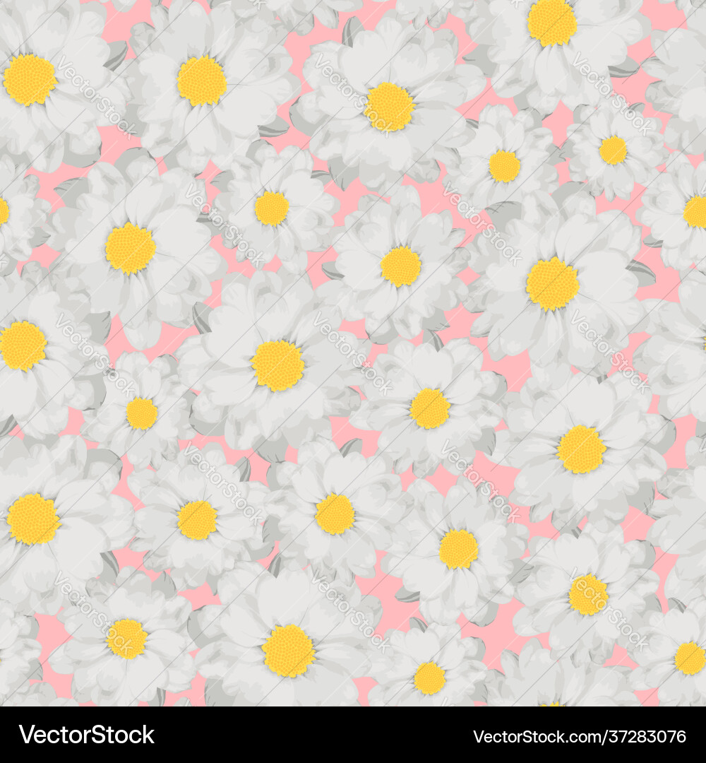 Chamomile pattern Chamomile pattern vector image