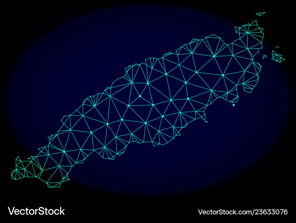 Polygonal network mesh abstract map Polygonal network mesh abstract map vector image