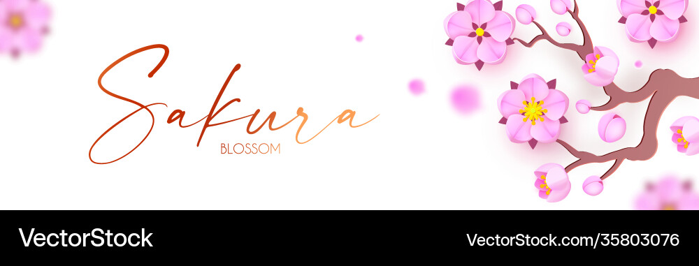 Sakura blossom cute pink cherry flowers japanese Sakura blossom cute pink cherry flowers japanese vector image