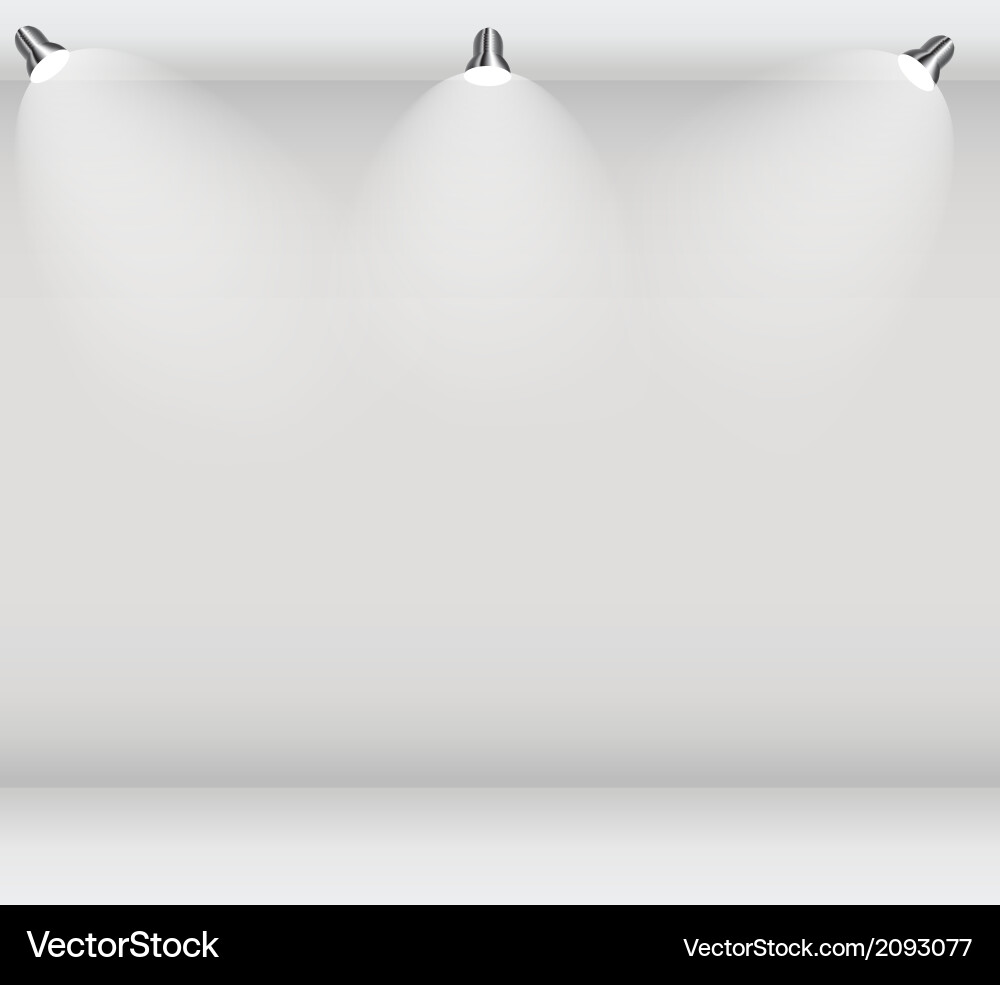 Empty wall for your text and images Vector Image