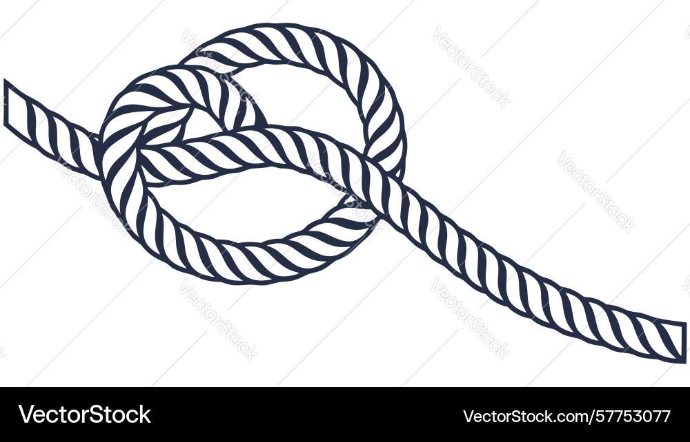 Nautical rope border element with knots design Vector Image