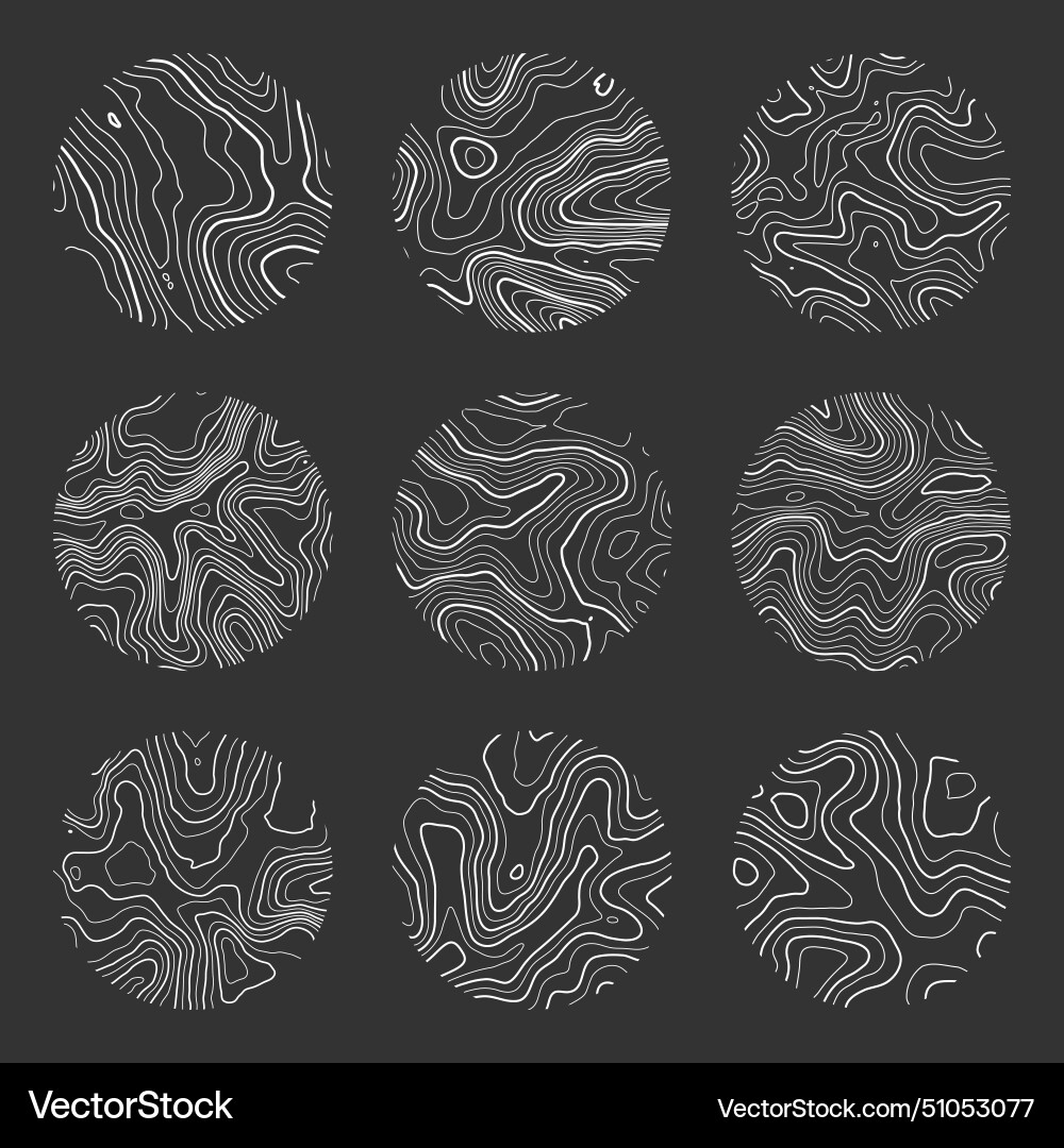 Topographic map with contour lines geographic Topographic map with contour lines geographic vector image