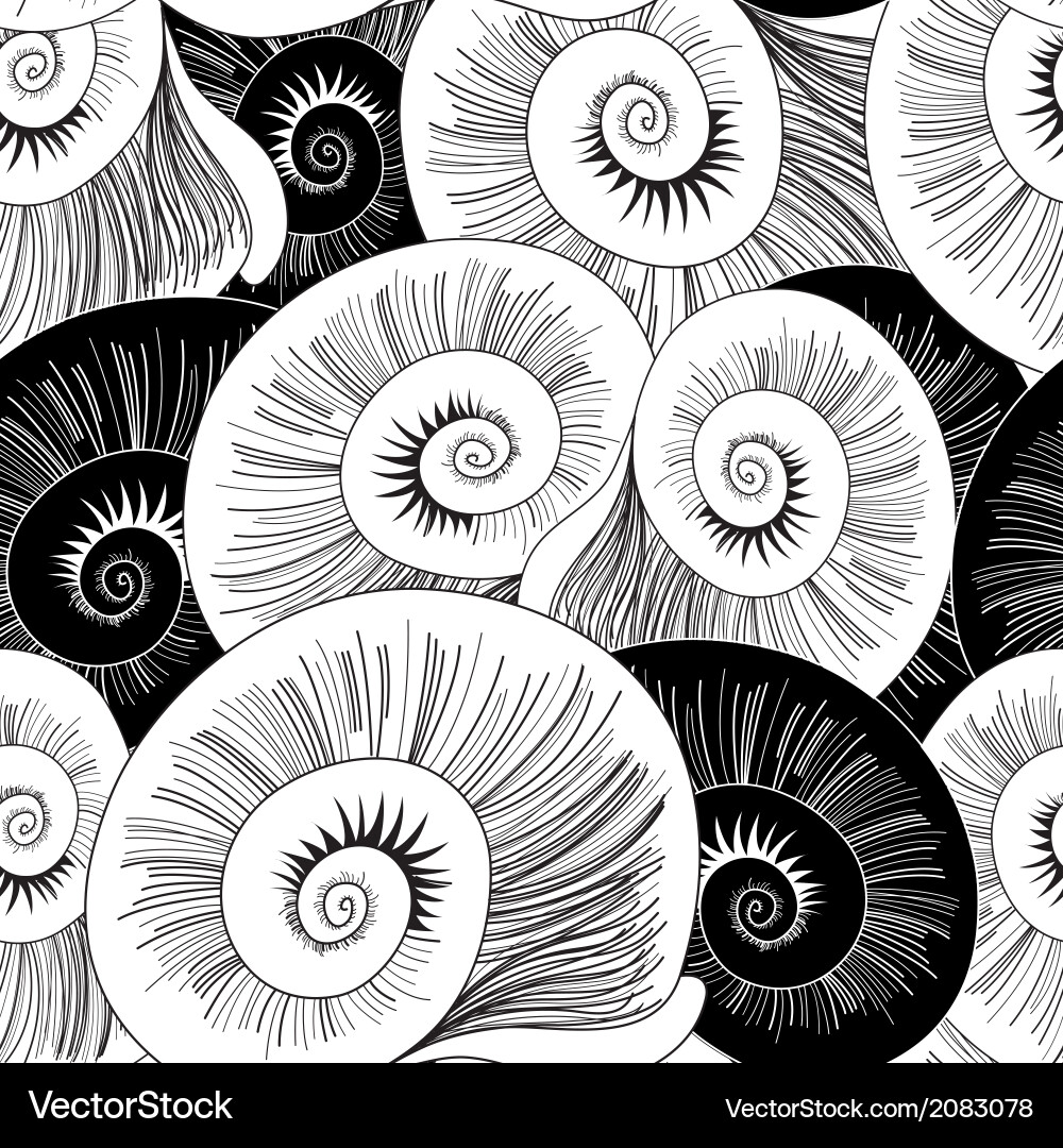 Graphic pattern of shells vector image