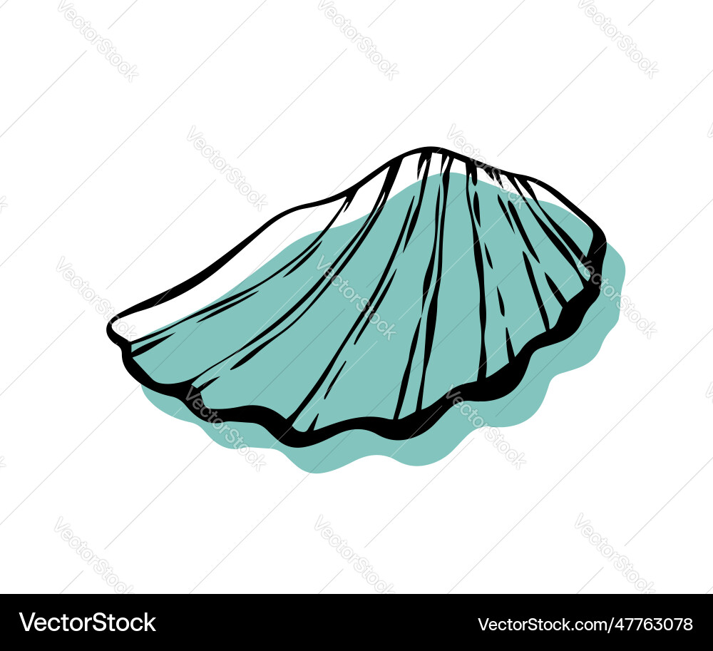 Shell with an outline in a trendy minimal style Shell with an outline in a trendy minimal style vector image