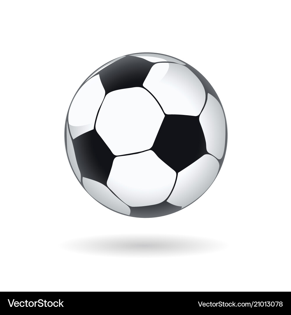 Soccer Ball - White and Black vector image