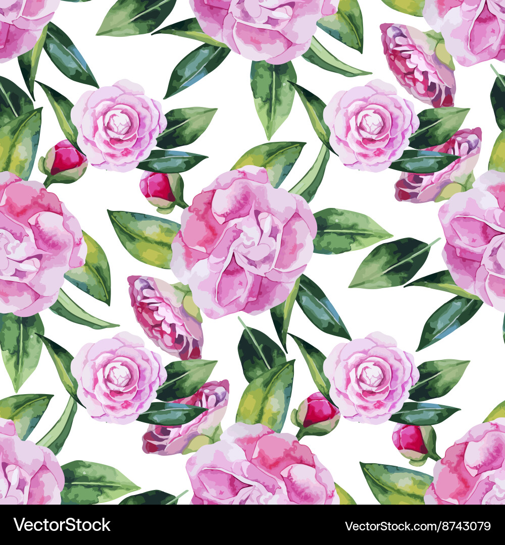 Camellia Watercolor Seamless Pattern Vector Image