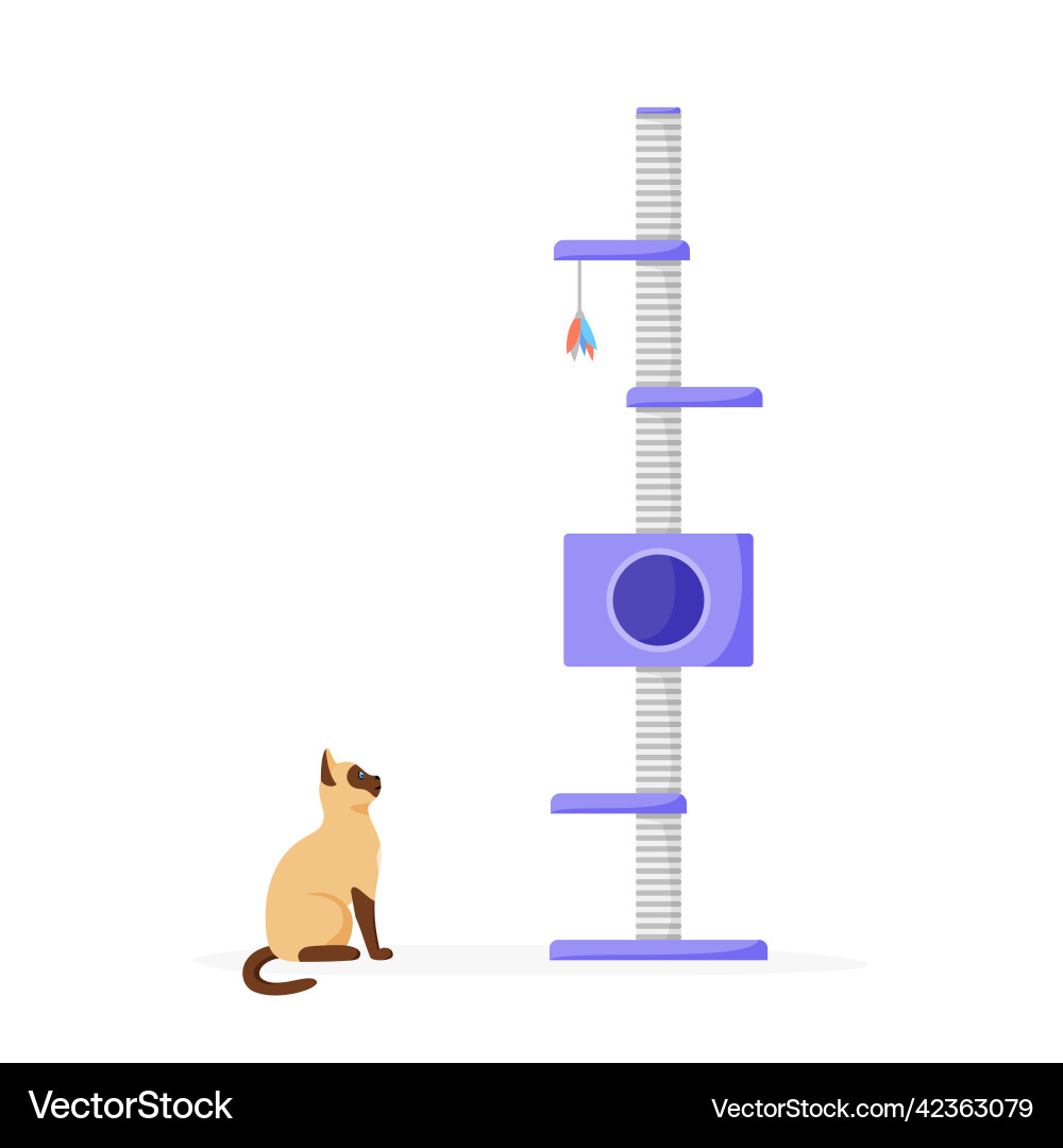 Cat tree with scratching posts siamese Vector Image