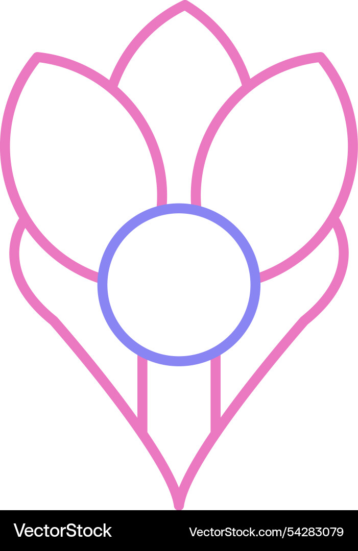 Crocus line two colour icon Vector Image