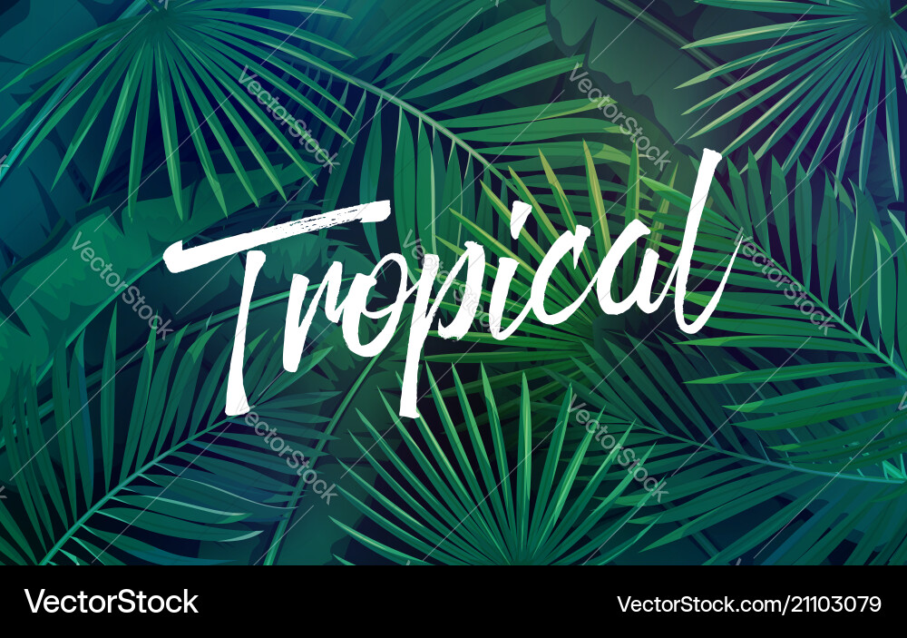 Tropical leaves seamless pattern Tropical leaves seamless pattern vector image