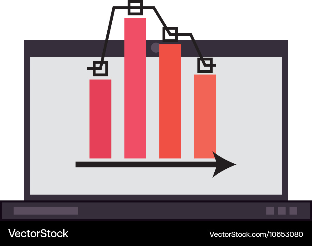 Computer monitor and bar graph icon vector image