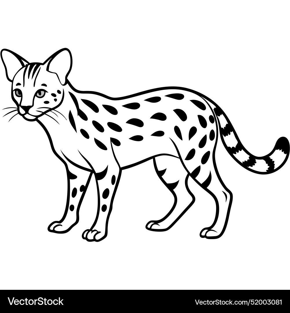 Common genet lynx walks icon Royalty Free Vector Image