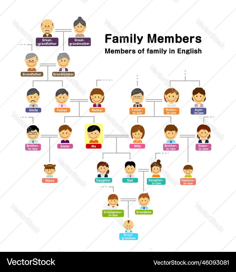 Family tree members of Family tree members of vector image