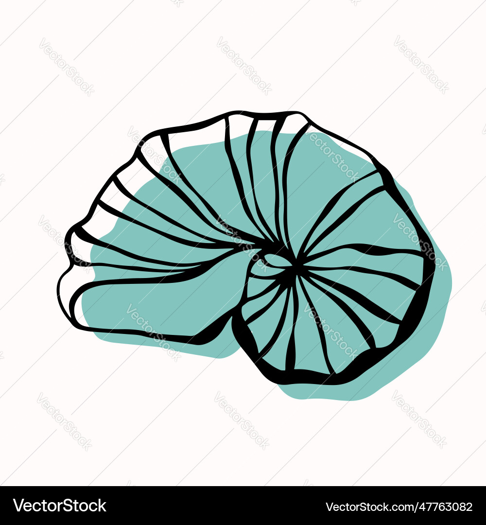Shell with an outline in a trendy minimal style Shell with an outline in a trendy minimal style vector image