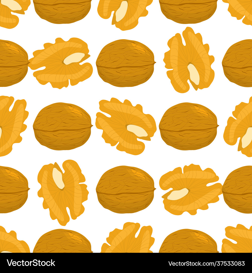 On theme big pattern identical types walnut On theme big pattern identical types walnut vector image