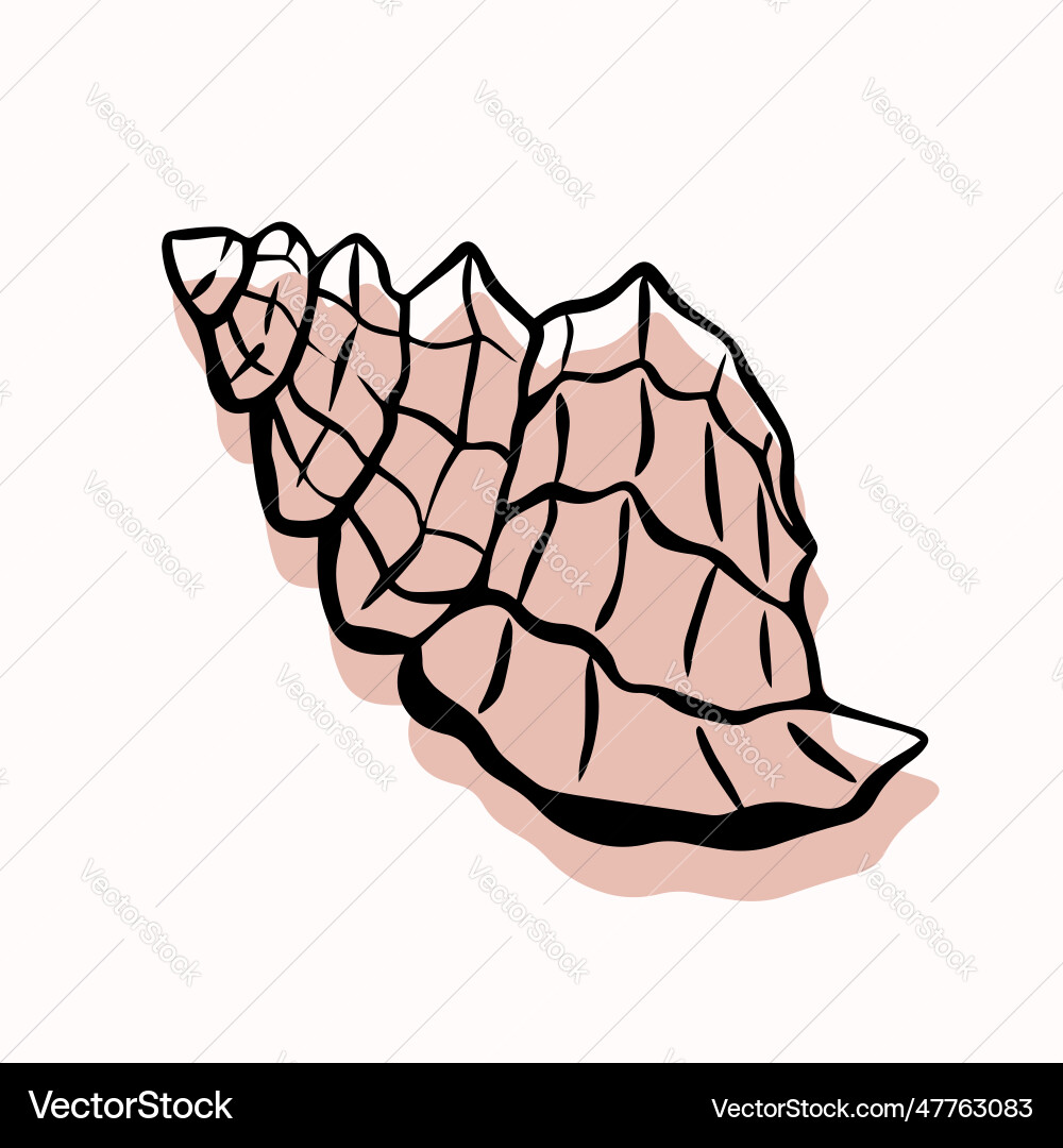Shell with an outline in a trendy minimal style Shell with an outline in a trendy minimal style vector image