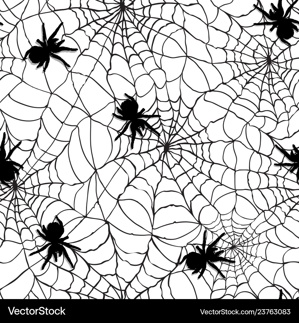 Spider Web Texture vector image