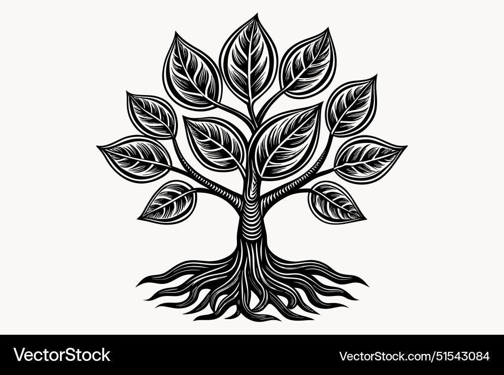 Exploring the beauty and science of tree leaves Vector Image