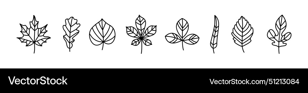 Set of tree leaf line shapes thin design Set of tree leaf line shapes thin design vector image